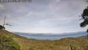 ./images/calvert/fitz-hugh-hecate/20260908/fitz-hugh-hecate20260908_163501M.jpg