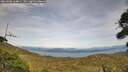 ./images/calvert/fitz-hugh-hecate/20260908/fitz-hugh-hecate20260908_164001M.jpg