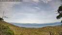 ./images/calvert/fitz-hugh-hecate/20260908/fitz-hugh-hecate20260908_164501M.jpg