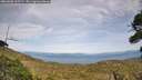 ./images/calvert/fitz-hugh-hecate/20260908/fitz-hugh-hecate20260908_165501M.jpg