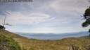 ./images/calvert/fitz-hugh-hecate/20260908/fitz-hugh-hecate20260908_170001M.jpg
