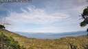 ./images/calvert/fitz-hugh-hecate/20260908/fitz-hugh-hecate20260908_170501M.jpg