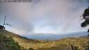 ./images/calvert/fitz-hugh-hecate/20260908/fitz-hugh-hecate20260908_172001M.jpg
