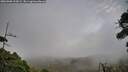 ./images/calvert/fitz-hugh-hecate/20260908/fitz-hugh-hecate20260908_193002M.jpg