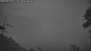 ./images/calvert/fitz-hugh-hecate/20260909/fitz-hugh-hecate20260909_062502M.jpg