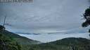 ./images/calvert/fitz-hugh-hecate/20260909/fitz-hugh-hecate20260909_070001M.jpg