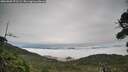 ./images/calvert/fitz-hugh-hecate/20260909/fitz-hugh-hecate20260909_072501M.jpg