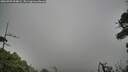 ./images/calvert/fitz-hugh-hecate/20260909/fitz-hugh-hecate20260909_094001M.jpg