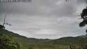 ./images/calvert/fitz-hugh-hecate/20260909/fitz-hugh-hecate20260909_104001M.jpg
