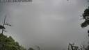 ./images/calvert/fitz-hugh-hecate/20260909/fitz-hugh-hecate20260909_110001M.jpg