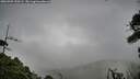 ./images/calvert/fitz-hugh-hecate/20260909/fitz-hugh-hecate20260909_120501M.jpg