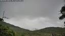./images/calvert/fitz-hugh-hecate/20260909/fitz-hugh-hecate20260909_122002M.jpg
