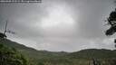 ./images/calvert/fitz-hugh-hecate/20260909/fitz-hugh-hecate20260909_122501M.jpg