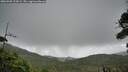 ./images/calvert/fitz-hugh-hecate/20260909/fitz-hugh-hecate20260909_123001M.jpg