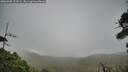 ./images/calvert/fitz-hugh-hecate/20260909/fitz-hugh-hecate20260909_123502M.jpg
