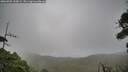 ./images/calvert/fitz-hugh-hecate/20260909/fitz-hugh-hecate20260909_130001M.jpg