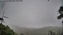 ./images/calvert/fitz-hugh-hecate/20260909/fitz-hugh-hecate20260909_131502M.jpg