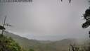 ./images/calvert/fitz-hugh-hecate/20260909/fitz-hugh-hecate20260909_151002M.jpg