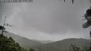 ./images/calvert/fitz-hugh-hecate/20260909/fitz-hugh-hecate20260909_155002M.jpg