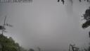 ./images/calvert/fitz-hugh-hecate/20260909/fitz-hugh-hecate20260909_164001M.jpg
