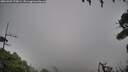 ./images/calvert/fitz-hugh-hecate/20260909/fitz-hugh-hecate20260909_170002M.jpg