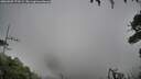 ./images/calvert/fitz-hugh-hecate/20260909/fitz-hugh-hecate20260909_173501M.jpg