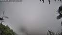 ./images/calvert/fitz-hugh-hecate/20260909/fitz-hugh-hecate20260909_174002M.jpg