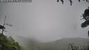 ./images/calvert/fitz-hugh-hecate/20260909/fitz-hugh-hecate20260909_174501M.jpg