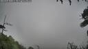 ./images/calvert/fitz-hugh-hecate/20260909/fitz-hugh-hecate20260909_185001M.jpg