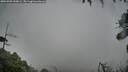 ./images/calvert/fitz-hugh-hecate/20260909/fitz-hugh-hecate20260909_190001M.jpg