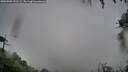 ./images/calvert/fitz-hugh-hecate/20260909/fitz-hugh-hecate20260909_191502M.jpg