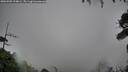 ./images/calvert/fitz-hugh-hecate/20260909/fitz-hugh-hecate20260909_194001M.jpg