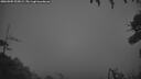 ./images/calvert/fitz-hugh-hecate/20260909/fitz-hugh-hecate20260909_203002M.jpg