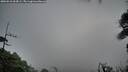 ./images/calvert/fitz-hugh-hecate/20260910/fitz-hugh-hecate20260910_064501M.jpg