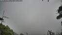./images/calvert/fitz-hugh-hecate/20260910/fitz-hugh-hecate20260910_070501M.jpg