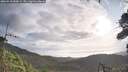 ./images/calvert/fitz-hugh-hecate/20260910/fitz-hugh-hecate20260910_090002M.jpg