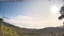 ./images/calvert/fitz-hugh-hecate/20260910/fitz-hugh-hecate20260910_092502M.jpg