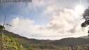 ./images/calvert/fitz-hugh-hecate/20260910/fitz-hugh-hecate20260910_095001M.jpg