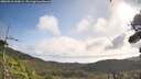 ./images/calvert/fitz-hugh-hecate/20260910/fitz-hugh-hecate20260910_100002M.jpg
