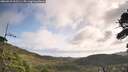 ./images/calvert/fitz-hugh-hecate/20260910/fitz-hugh-hecate20260910_101501M.jpg