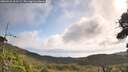 ./images/calvert/fitz-hugh-hecate/20260910/fitz-hugh-hecate20260910_103501M.jpg