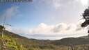 ./images/calvert/fitz-hugh-hecate/20260910/fitz-hugh-hecate20260910_104001M.jpg
