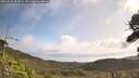 ./images/calvert/fitz-hugh-hecate/20260910/fitz-hugh-hecate20260910_104502M.jpg