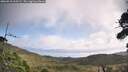 ./images/calvert/fitz-hugh-hecate/20260910/fitz-hugh-hecate20260910_105501M.jpg