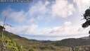 ./images/calvert/fitz-hugh-hecate/20260910/fitz-hugh-hecate20260910_110001M.jpg
