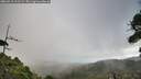 ./images/calvert/fitz-hugh-hecate/20260910/fitz-hugh-hecate20260910_111501M.jpg