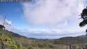 ./images/calvert/fitz-hugh-hecate/20260910/fitz-hugh-hecate20260910_120502M.jpg