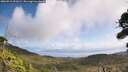 ./images/calvert/fitz-hugh-hecate/20260910/fitz-hugh-hecate20260910_121001M.jpg