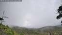 ./images/calvert/fitz-hugh-hecate/20260910/fitz-hugh-hecate20260910_140501M.jpg