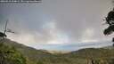 ./images/calvert/fitz-hugh-hecate/20260910/fitz-hugh-hecate20260910_154001M.jpg